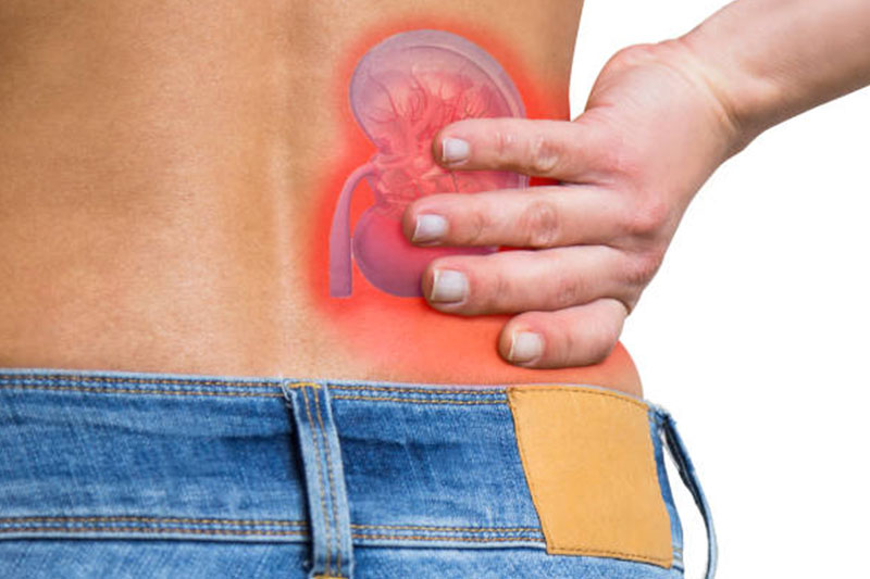 <a href="https://www.shreedhruti.com/contact-us/" class="txt">Kidney Stones</a>
