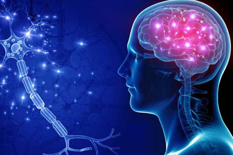 <a href="https://www.shreedhruti.com/contact-us/" class="txt">Neurological Disorders</a>