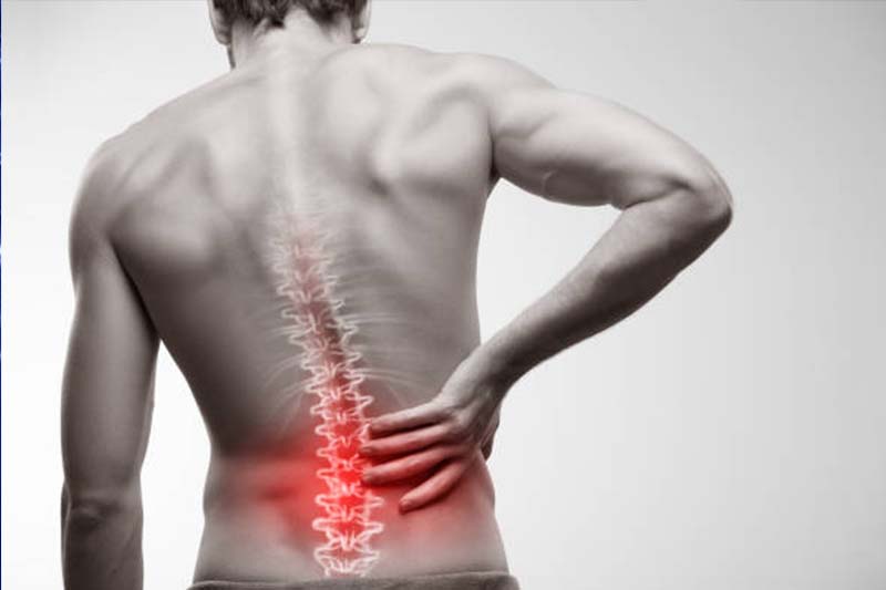 <a href="https://www.shreedhruti.com/spinal-cord/" class="txt">All Spine Problems</a>