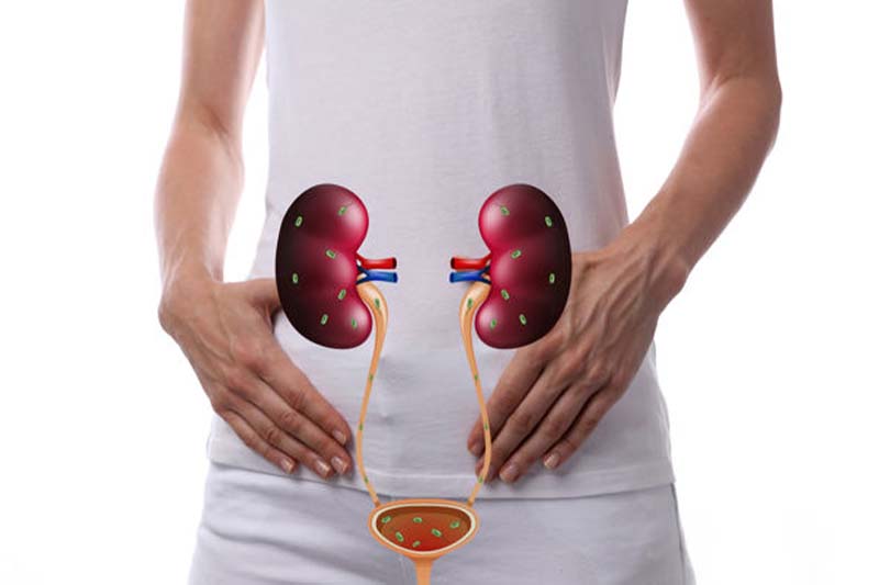 <a href="https://www.shreedhruti.com/contact-us/" class="txt">Urinary Tract Infection</a>